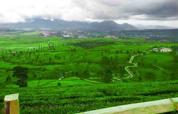Sunrise di Wayang Windu Panenjoan, Pengalaman Wisata yang Wajib Dicoba