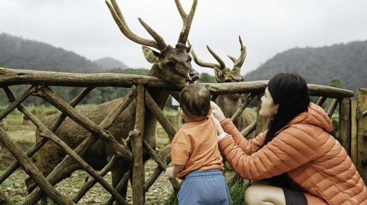 Lembang Park and Zoo Bandung, Tempat Wisata Anak Favorit di Lembang