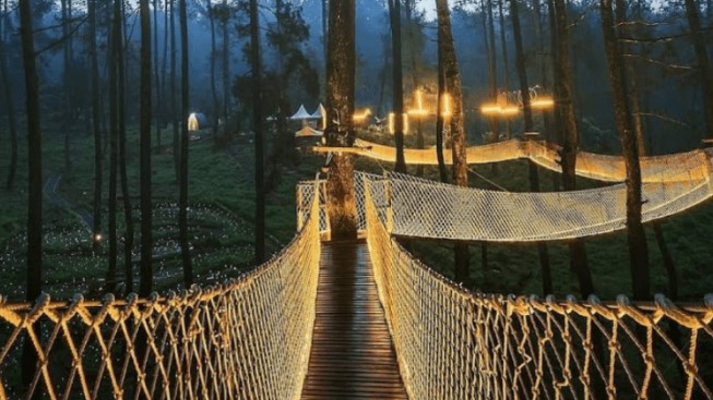 Orchid Forest Cikole Lembang, Wisata Hutan Pinus Hits untuk Keluarga