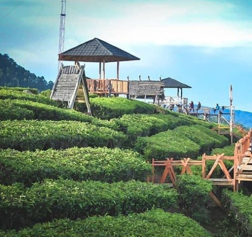 Wisata Pangalengan, Wayang Windu Panenjoan dan Sekitarnya